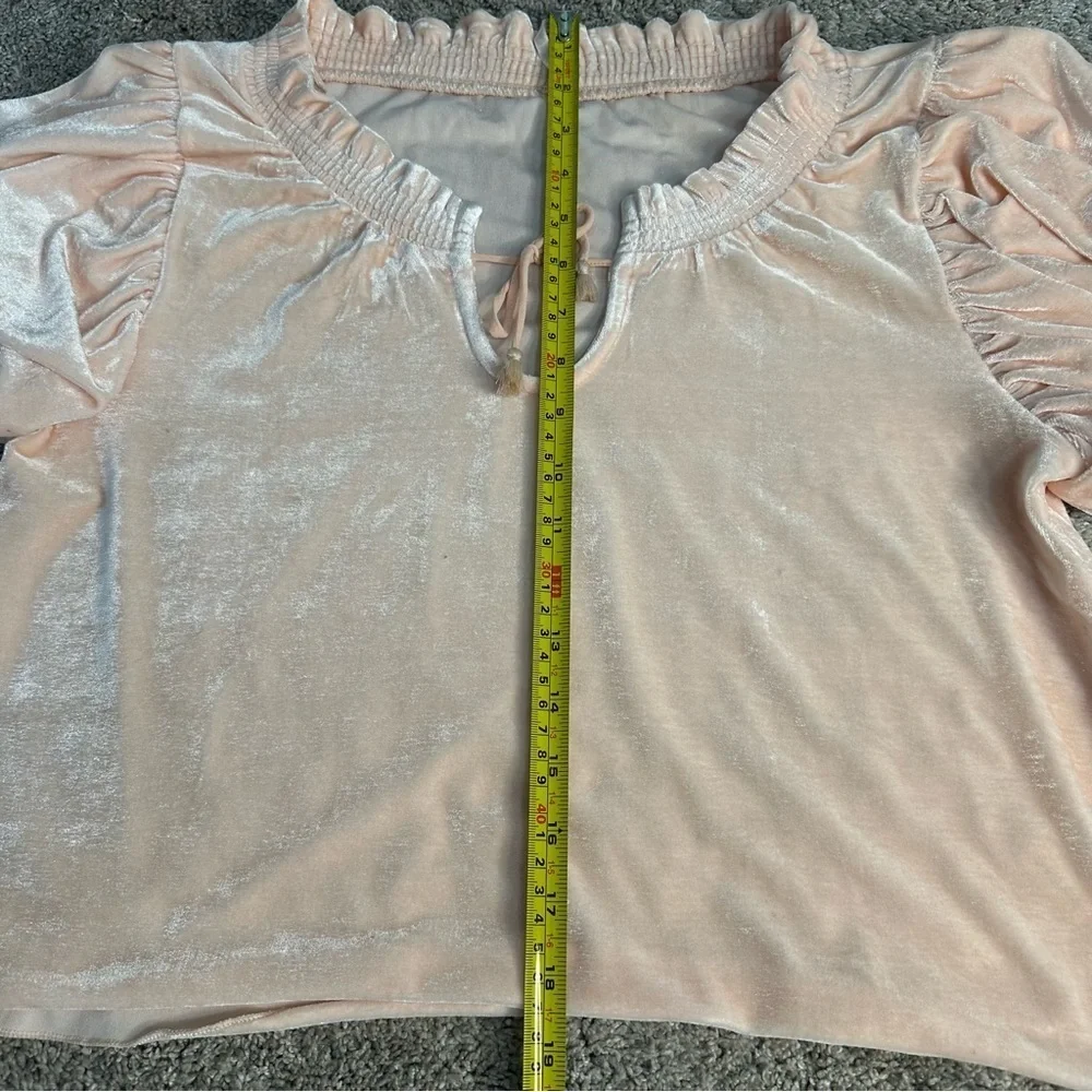 Free People Terese Velvet Top XS velour light pink ruffle puff smock Tee